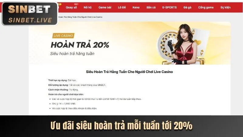 Chiến lược cá cược thể thao VND789